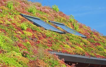 Atch Lench living roof systems